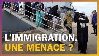 Limmigration menacetelle la démographie française [upl. by Anaugahs]