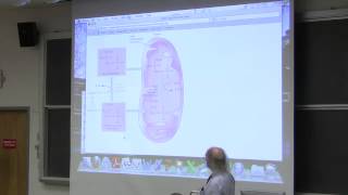 31 Biochemistry Lecture LipidFat Metabolism I from Kevin Aherns BB 350 [upl. by Rust]