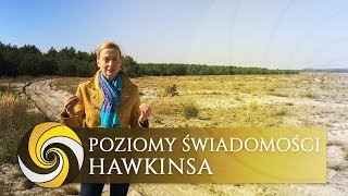 Poziomy świadomości Hawkinsa [upl. by Lenni]