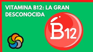 Vitamina B12 la gran desconocida [upl. by Sieber]