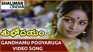 Subhodayam Movie  Gandhamu Pooyaruga Video Song  Chandra Mohan Sulakshana  Shalimarcinema [upl. by Rhoades384]