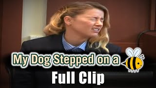 quotMy Dog Stepped On a Beequot  Full Clip [upl. by Velleman964]