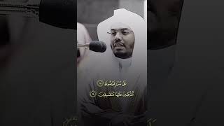 Yasir Al dosari beautiful recitationvideorecitation yasseraldosari viralvideo video recitation [upl. by Lada]