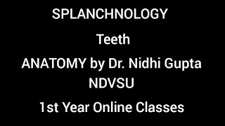 SPLANCHNOLOGY TEETH ANATOMY by Dr Nidhi Gupta NDVSU 1st Year Online Classes [upl. by Steffin]