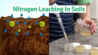 Fertilize Responsibly Nitrate Leaching and Cation Exchange in a Sandy Soil [upl. by Veriee769]