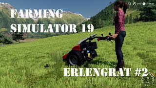 FS19 牛さんのご飯とAebi CC66で草刈りするのが楽しい！ERLENGRAT 2 [upl. by Alis]