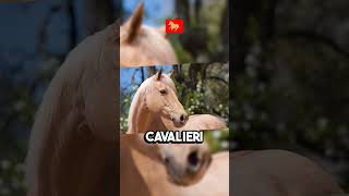 LE 5 RAZZE DI CAVALLI 🏇 PIU COSTOSE AL MONDO 💰🌍🏇 shortvideo animali cavalli costose mondo [upl. by Gilmore]