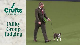 Utility Group Judging  Crufts 2024 [upl. by Jacklyn]