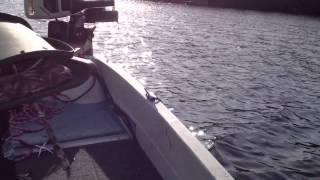 Sears Gamefisher with 1985 8Horsepower Johnson Outboard [upl. by Holbrook519]