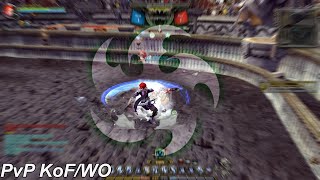 Heal Elit Damage Sakit  Raven vs Light Fury DN SEA [upl. by Ellessig]