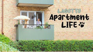 Lagotto Romagnolo  Daily Routine of a dog living in an apartment [upl. by Margette188]