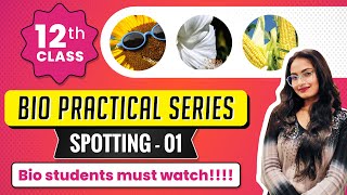 How to do SPOTTING  Biology Practical Class 12 top coaching [upl. by Berlinda]