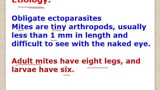 sarcoptic and psoroptic mange lecture for vet students [upl. by Tasia]