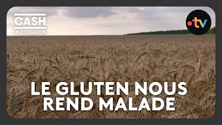 Gluten  notre blé estil devenu indigeste   Cash investigation [upl. by Hintze919]