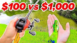 100 vs 1000 Budget Fishing Challenge Rod Reel Lures [upl. by Lekim]