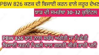 PBW 826 Wheat Variety।PBW 826 ਕਣਕ ਦੀ ਬਿਜਾਈ ਕਰਨ ਵਾਲੇ ਜਰੂਰ ਦੇਖਣ। ਝਾੜ ਦੀ ਸਮਰੱਥਾ 3032 ਕੁਇੰਟਲ [upl. by Rentsch]