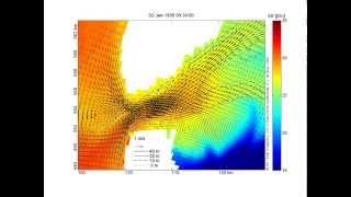 Delft3D simulation of Wadden Sea Marsdiep zoom [upl. by Omrellug256]