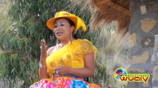 Mily Montes  Porque te Fuistes Full HD Primicias 2015 Huayno [upl. by Aihsatan]