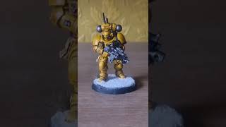 This is my Warhammer 40k Imperial Fist Primaris Reivers Painted that I bought on eBay [upl. by Anes407]