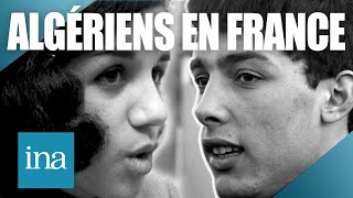 1966  Les jeunes Algériens en France  Archive INA [upl. by Ahtis]