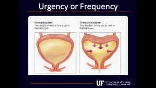 University of Florida Department of Urology Urodynamics [upl. by Hampton712]