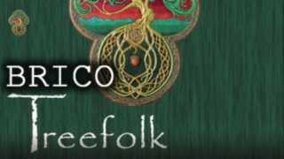 Brico Treefolk  Cómo aislar acusticamente un pabellón multiusos con cartones de huevos [upl. by Nolyak797]