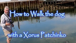 How to quotWALK THE DOGquot with a Xorus Patchinko [upl. by Dorwin701]