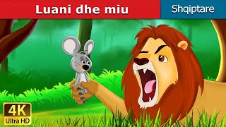 Luani dhe miu  Lion and The Mouse in Albanian  AlbanianFairyTales [upl. by Snah]