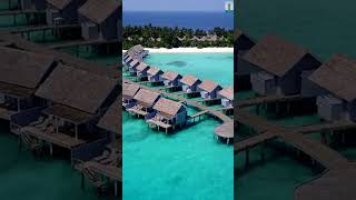 Maldives maldives travel culturediscover facts destinationdiscovery [upl. by Kristos]