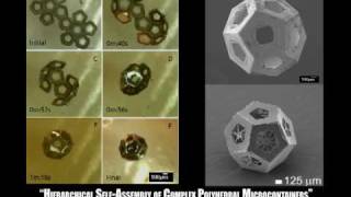 SelfAssembly of Lithographically Patterned 3D MicroNanostructures [upl. by Romelle]