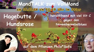 MondTalk zum Vollmond  Im Gespräch mit Nana Mara auf dem PflanzenPhiloSofa  Hagebutte Hundsrose [upl. by Ellimak]