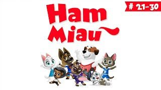 Desene animate pentru copii 🐶 Ham Miau 🐱 ep 2130 [upl. by Emarie53]