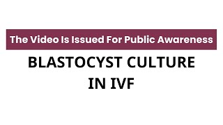 Blastocyst Culture in IVF Benefits and Drawbacks know it from 𝐃𝐫 𝐒𝐮𝐩𝐚𝐫𝐧𝐚 𝐁𝐚𝐧𝐞𝐫𝐣𝐞𝐞 [upl. by Ycnahc]