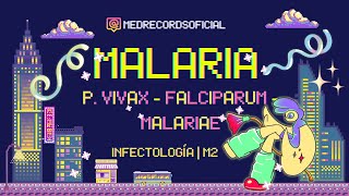 MALARIA PALUDISMO  Plasmodium vivax malariae falciparum  Clínica Diagnóstico Tratamiento  INFECTO [upl. by Buhler633]