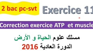 2 bac svt pc CORRECTION exercice 11 svt  ATP et muscle normale PC 2022 [upl. by Samoht295]