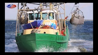 Oesters vissen met Adri amp Zoon [upl. by Libby]