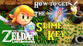 How to find the Slime Key amp Getting 5 Golden Leaves in Kanalet Castle  Links Awakening [upl. by Hiroko]