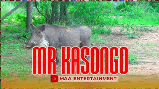 MR KASONGO V16 [upl. by Androw]