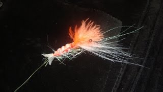 Saltwater fishing Tying an excellent Shrimp [upl. by Werd51]