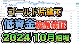 片建てで ゴールド 自動売買 を成功させる方法 [upl. by Aiyn]