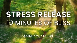 Quiet Your Mind Relax Your Body Stress Relief Meditation [upl. by Maddox]