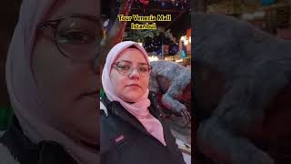 Tour Night velenzia mall istanbul youtbeshort shortvideo ytshorts zstravellingvlog [upl. by Abie]