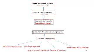 Cours dEndocrinologie vidéo 5  Hormones de la Médullosurrénale [upl. by Tobias]