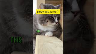 The Surprising Secret to Cat Sideways Jump [upl. by Dionis]