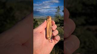 Olive Wood scales on the Victorinox Spartan [upl. by Natloz]