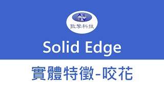 Solid Edge 咬花Embossed Building [upl. by Darren]