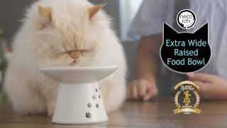 Give a Gift of Comfort  Raised Extra Wide Cat Food Bowl [upl. by Edna]