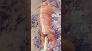 Homemade lechon Panlasang Pinoy shorts cooking food yummy shortvideo trending [upl. by Notaes]