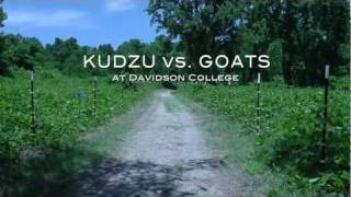 Kudzu No Problem Were bringing in the goats [upl. by Farny]