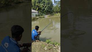 Fishing rod viralvideo fishing [upl. by Toland848]